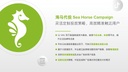 海马代投